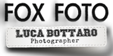 Fox Foto di Luca Bottaro Logo
