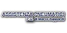 P.G. Pneumatici Logo