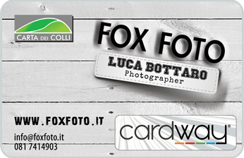 Fox Foto di Luca Bottaro Cardway